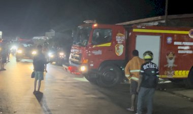 Satu Regu Tim Damkar Diterjunkan Untuk Mengusir Lebah di Rumah Warga