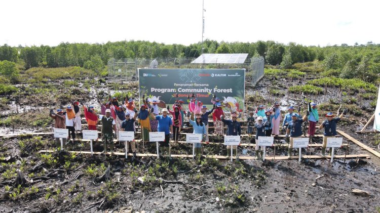 penanaman 50.000 pohon mangrove pada kegiatan Community Forest hasil kolaborasi PT Pupuk Kalimantan Timur Yayasan Benih Baik, di Kampung Maibo, Kabupaten Sorong 