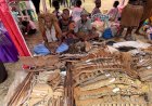 Festival Sejuta Rawa Memicu Kreativitas Anak Muda dalam UMKM
