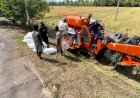 Tantangan Petani Merauke dalam Musim Panas yang Kering