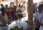Mappi Terapkan Sistem Pemantauan Berkelanjutan untuk Kendalikan Inflasi