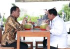 Jokowi Sedang All Out Kalahkan Banteng di Jateng