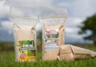 MENGENAL TEPUNG SAGU KELOMPOK TANI SAGU KAMPUNG AIWAT DAN KAMPUNG SUBUR