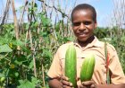 TSE Group Tumbuhkan Minat Berkebun Sejak Dini Demi Ketahanan Pangan Di Masa Depan Kepada Generasi Muda Distrik Jair