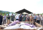 Langgar Aturan Karantina, Buah Trademark Papua Dimusnahkan