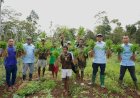 PETANI KAMPUNG NAGA PERKUAT KEMANDIRIAN PANGAN DENGAN HORTIKULTURA MODERN