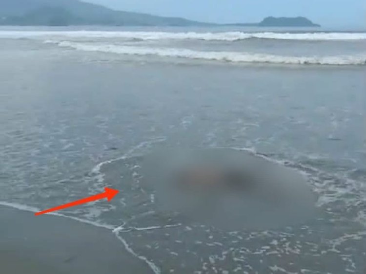 1 orang korban tenggelam di Holtekamp di temukan/ist
