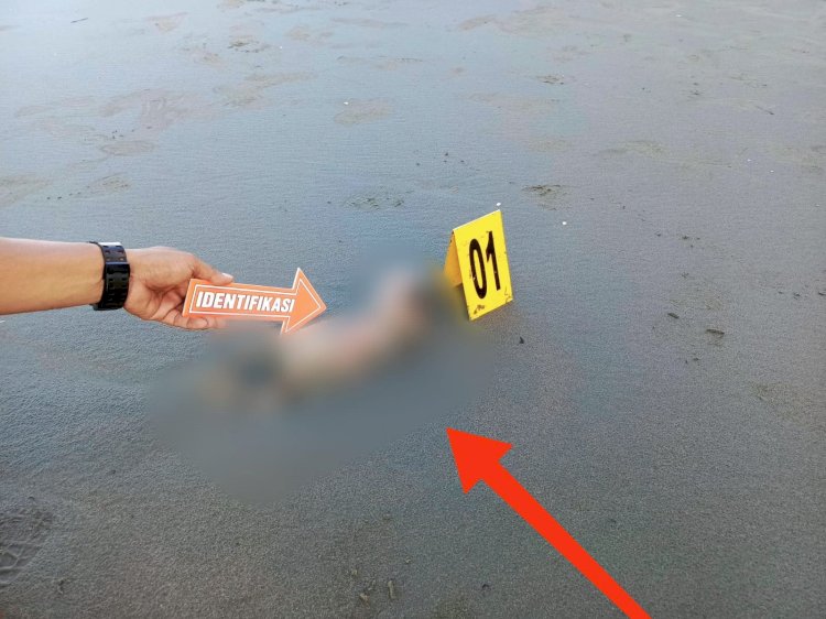Lokasi penemuan jasat bayi di Wisata He'cnuk Injros Beach Pantai Kampung Holtekamp Distrik Abepura/ist