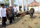 Jaga Tali Silaturahmi, Paguyuban Nusantara, Pendeta hingga Relawan Serahkan Hewan Kurban dari Paulus Waterpauw