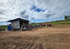 Kampung Sermayam di Tanah Miring Kembangkan Sumber Daya Manusia Pertanian, Namun Terkendala Layanan PLN