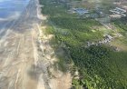 Mengelola Investasi Strategis di Papua Selatan: Antara Peluang Ekonomi dan Tantangan Lingkungan