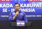 Respon AHY , Fenomena PILKADA Lawan Kotak Kosong