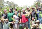 Panen Jagung Bantuan Kasad Maruli Simanjuntak di Jayawijaya Bertepatan Dengan Kemerdekaan RI ke 79