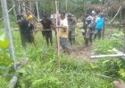 Babinsa 1711-03/TM Bantu Pembangunan Rumah Warga di Boven Digoel