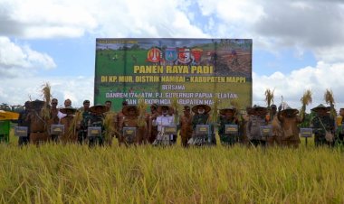 Dari Awal Hingga Panen Raya: Kronologi Kolaborasi TNI dan Pemda Mappi di Kampung Mur