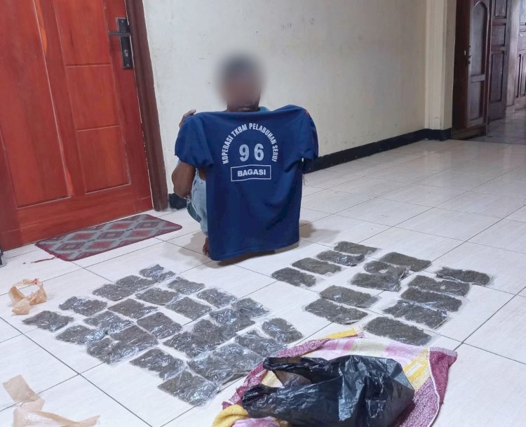Pelaku pembawa ganja  yang dibyanggap di pelabuhan Jayapura/ist