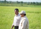Kunjungan Kerja Perdana Presiden Prabowo Subianto di Merauke, Papua Selatan, Meninjau Program Ketahanan Pangan Nasional