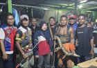 Petugas Damkar Lakukan Penangkapan Buaya Yang Masuk Perumahan Warga Lampu Satu