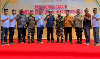 PT Agrinusa Persada Mulia (APM) Gelar Aksi Donor Darah Bersama PMI Kabupaten Merauke