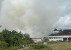 Aksi Protes SKD CPNS 2024, Massa Bakar Kantor BKD dan Podium di Boven Digoel
