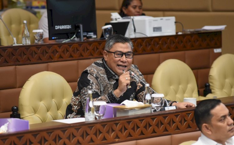 Anggota Komisi V DPR RI, Danang Wicaksana Sulistya (DWS)/ist