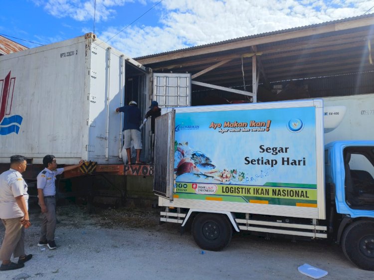 Proses pemuatan ikan sebanyak  13,5 ton ikan segar dan ikan unggulan seperti ikan Tuna, Cakalang, Marlin, dan ikan-ikan karang perairan pasifik oleh Koperasi Samber Binyeri Maju (KSBM) untuk di kirimkan ke Semarang, Jawa Tengah (Istimewa) 