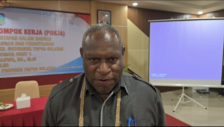 Ketua MRP Papua Selatan,  Damianus Katayu