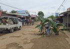 Protes Jalan Rusak, Masyarakat Tanam Pohon Pisang Bentuk Kekecewaan Pada Pemerintah Kabupaten