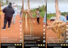 Kisruh Internal Marga Berujung Pemalangan: Kronologi Lengkap Konflik di Wilayah PT. Dongin Prabawa Maam