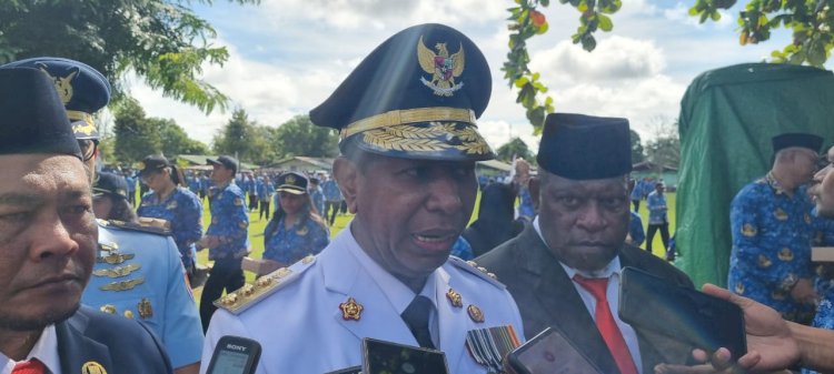 Gubernur Papua Selatan, Prof. Dr. Ir. Apolo Safanpo, ST. MT