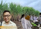 Lewat Program CSR Inovatif PT. GPA Berkomitmen Dorong Kemajuan Pendidikan dan SDM OAP