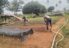 Babinsa Koramil 1711-03/MTR Lakukan Pembersihan Tanaman Sayur-Sayuran