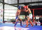 Kick Boxing Redy Jogja Championship #1 Diikuti Ratusan Atlet, Merauke Turunkan Empat Petarung Terbaik