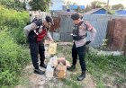 Jelang PSU, Sat Resnarkoba Polres Boven Digoel Gelar Razia Miras Lokal