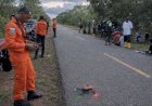 Pencarian Warga Hilang Di Distrik Sota Perlihatkan Wajah Kemanusiaan Polri Papua Selatan