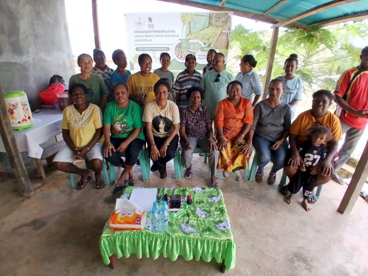 Papua Youth Creative Hub (PYCH) Papua Barat Daya mengelar sosialisasi pemanfaatan lahan sempit untuk berkebun hidroponik bagi Orang Asli Papua (OAP) di Kota Sorong, Selasa, 2 Desember 2025.  (Istimewa) 