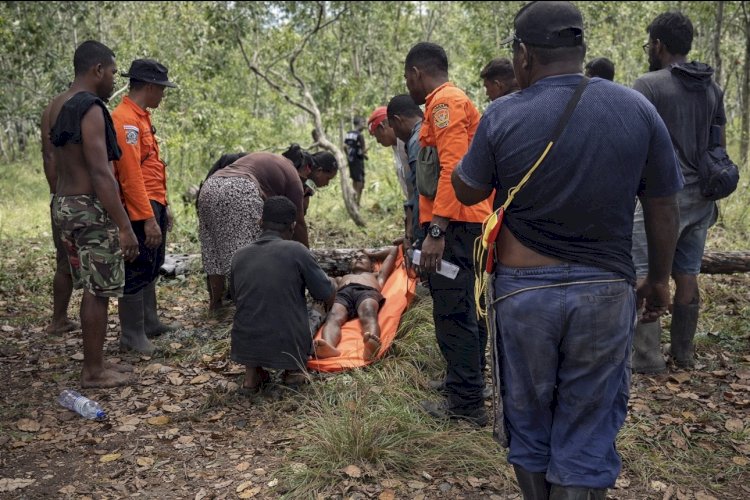 Tim SAR gabungan mengevakuasi Gabriel Mahuze, 55 tahun, setelah ditemukan selamat di kawasan hutan Distrik Sota, Kabupaten Merauke, Sabtu 3 Januari 2026. Korban yang sempat hilang selama tujuh hari saat berburu dievakuasi menggunakan tandu menuju jalan raya sebelum dibawa ke Puskesmas Sota untuk mendapatkan penanganan medis.