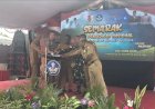 Expo SMK dan Job Fair Sebagai Peringatan HARDIKNAS 2026 di Merauke