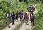 PT JDI Tebang Kayu di Lahan Warga Nabire, Hasil Investigasi Gakkum Belum Jelas