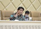 Bahtra Banong: Pernyataan Presiden Prabowo soal PDIP dan Megawati Tegaskan Komitmen Demokrasi